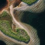 marina-reich-G6_bC2aiOO0-unsplash