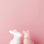 pexels-mike-murray-7067259