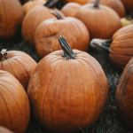 tim-mossholder-Gm1cgNtDcr8-unsplash