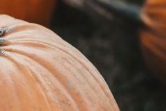 tim-mossholder-Gm1cgNtDcr8-unsplash