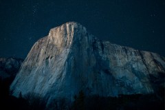steve-gribble-tuRraTuflBA-unsplash