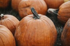 tim-mossholder-Gm1cgNtDcr8-unsplash